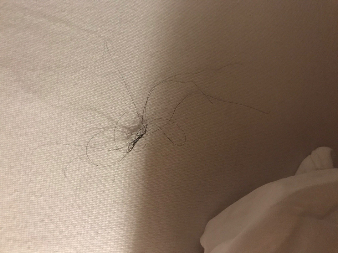 Hotel Bärenstüberl主图