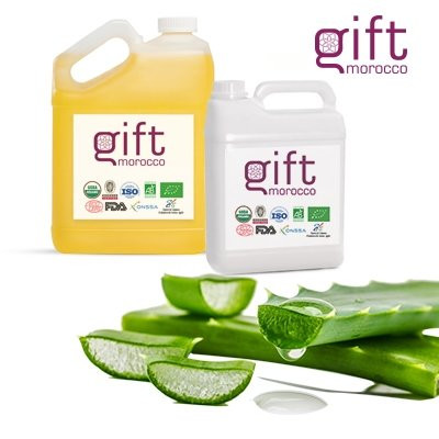 Gift Morocco-阿加迪尔必去景点