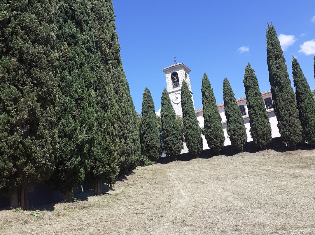 Chiesa di Santa Maria Assunta景点图片