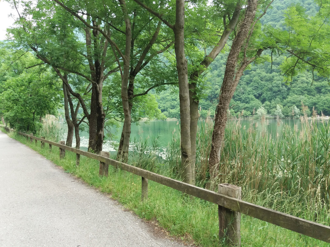 Parco Lago Segrino景点图片