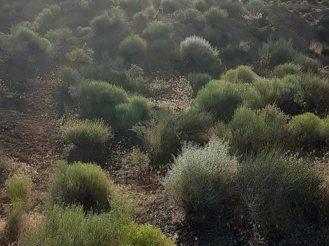 Shelleys Custom Horse Tours-Virgin必去景点