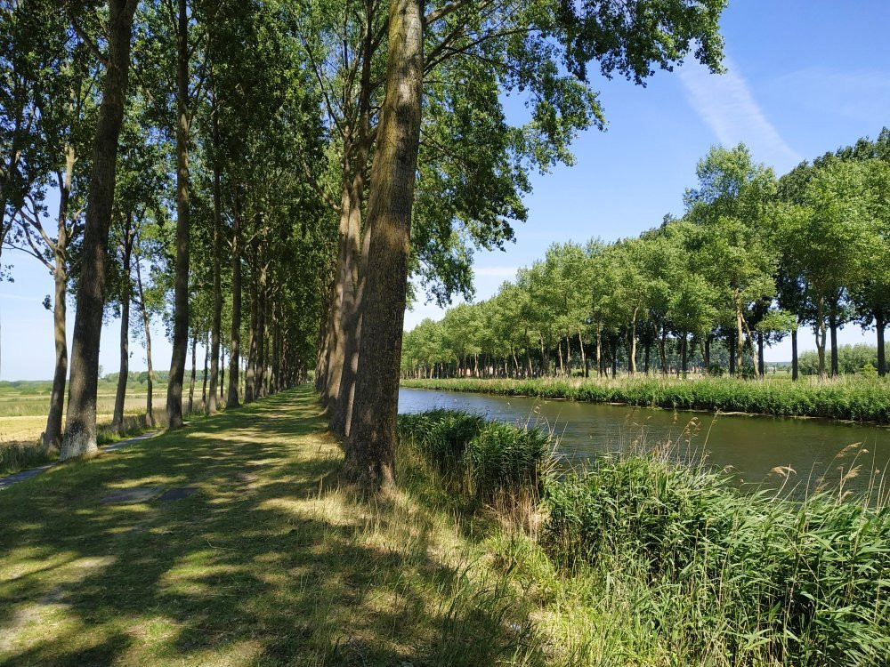 Maerlant Bicycle Trail景点图片