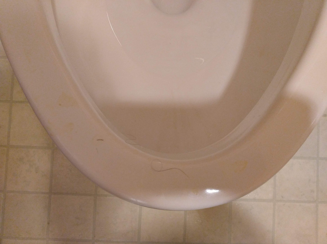 Super 8 by Wyndham Battle Mountain主图