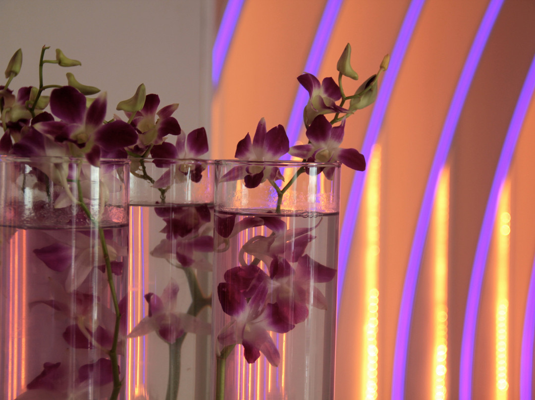 The Hans Hotel主图