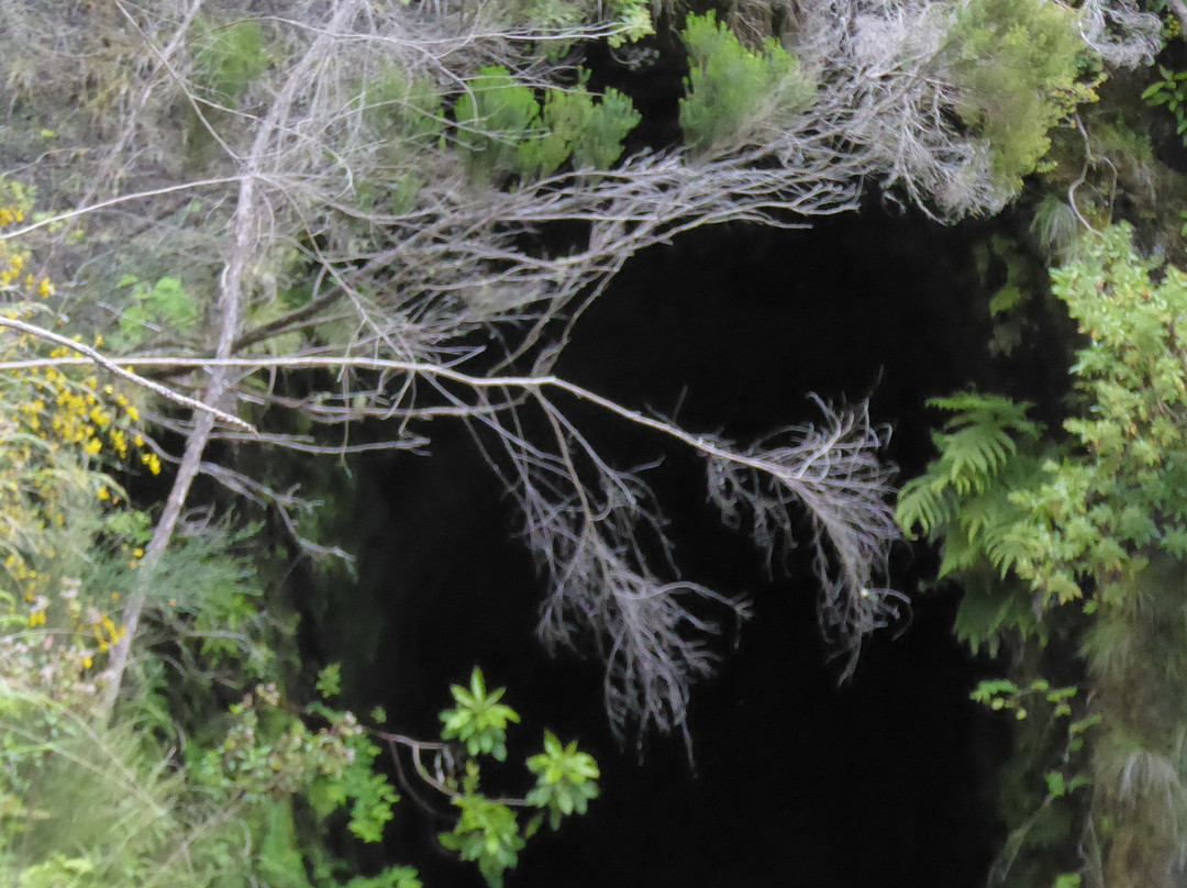 25 Fontes and Cascada da Risco-马德拉群岛必去景点