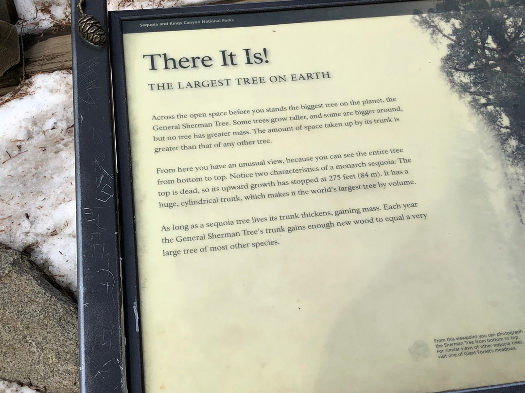 Sequoia and Kings Canyon National Parks-Three Rivers必去景点