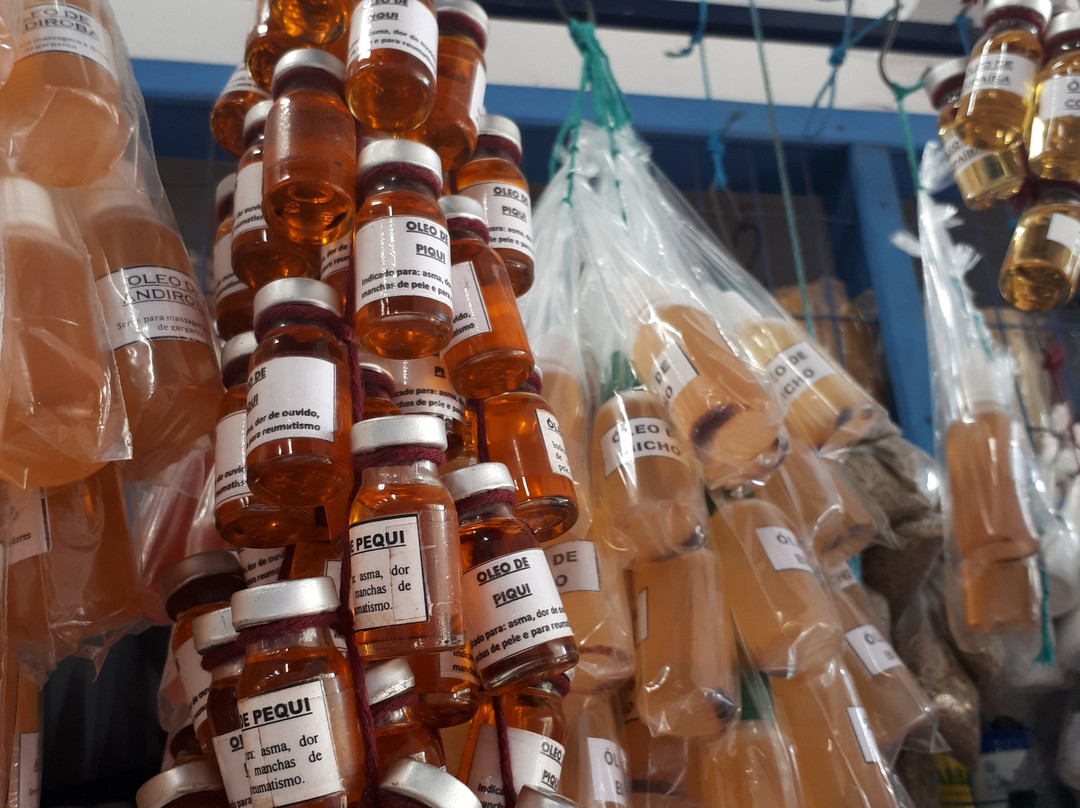 Mercado Municipal de Soure-Soure必去景点