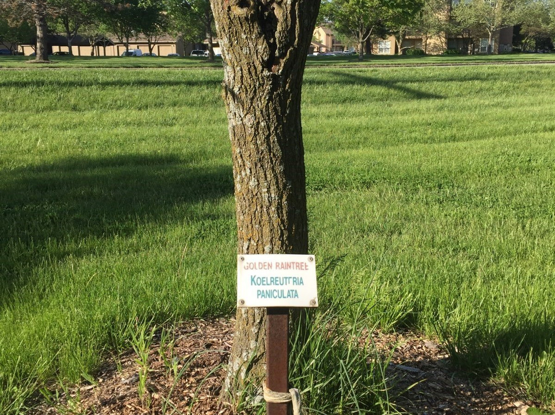 Indian Creek Greenway-欧弗兰帕克必去景点