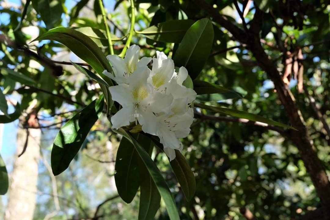 Sandteich-Helmstedt必去景点