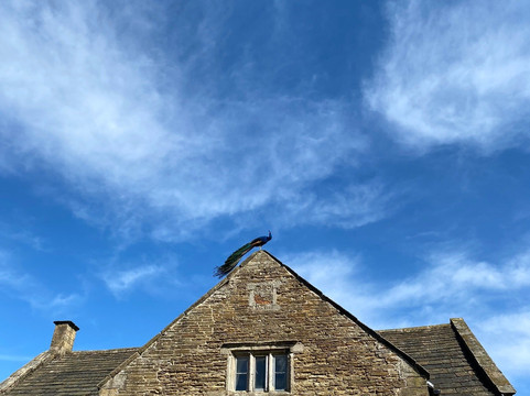 Barlow Woodseats Hall