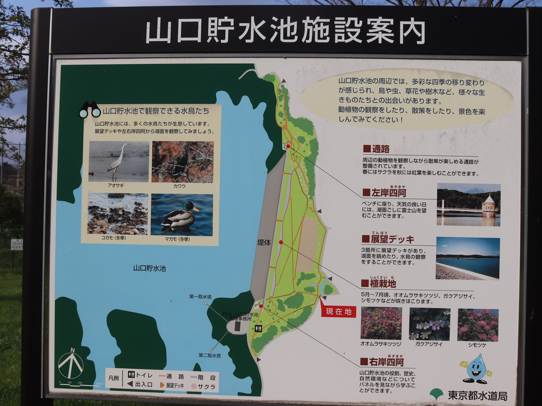 Sayama Prefectural Nature Park-所泽市必去景点