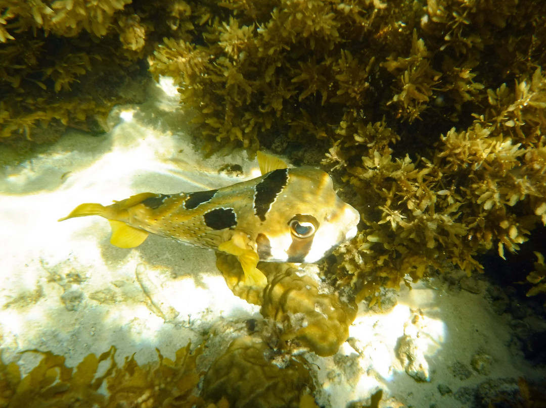 戴安斯弗尔本小木屋假日公园主图