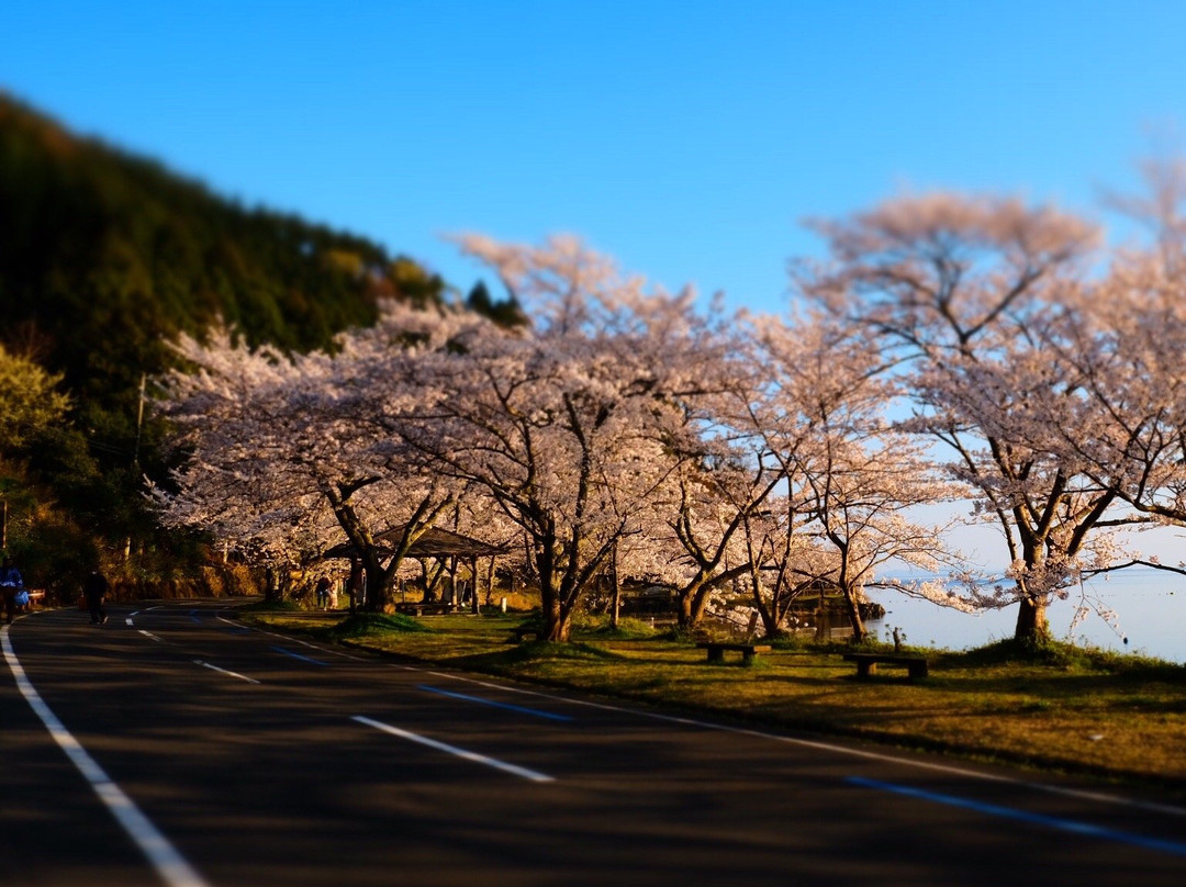 海津大崎-高岛市必去景点