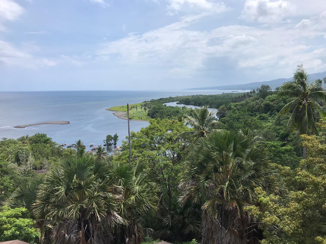 Tasikoki Wildlife Rescue Center景点图片