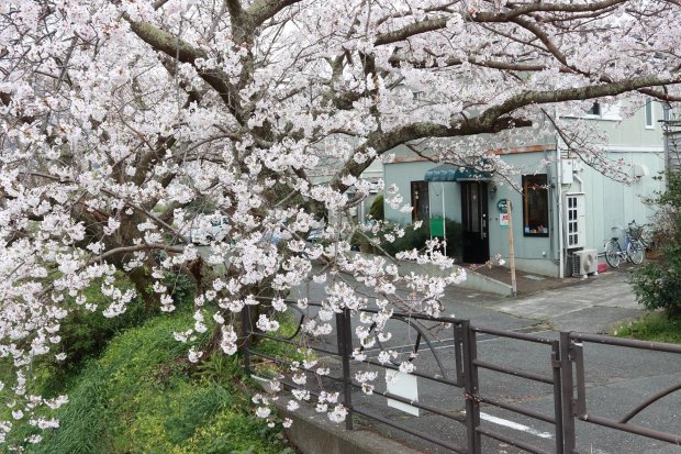 Kawazu no Sato-浴室