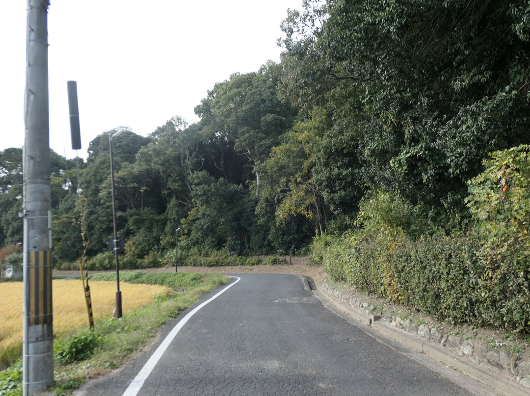 Hashihaka-樱井市必去景点