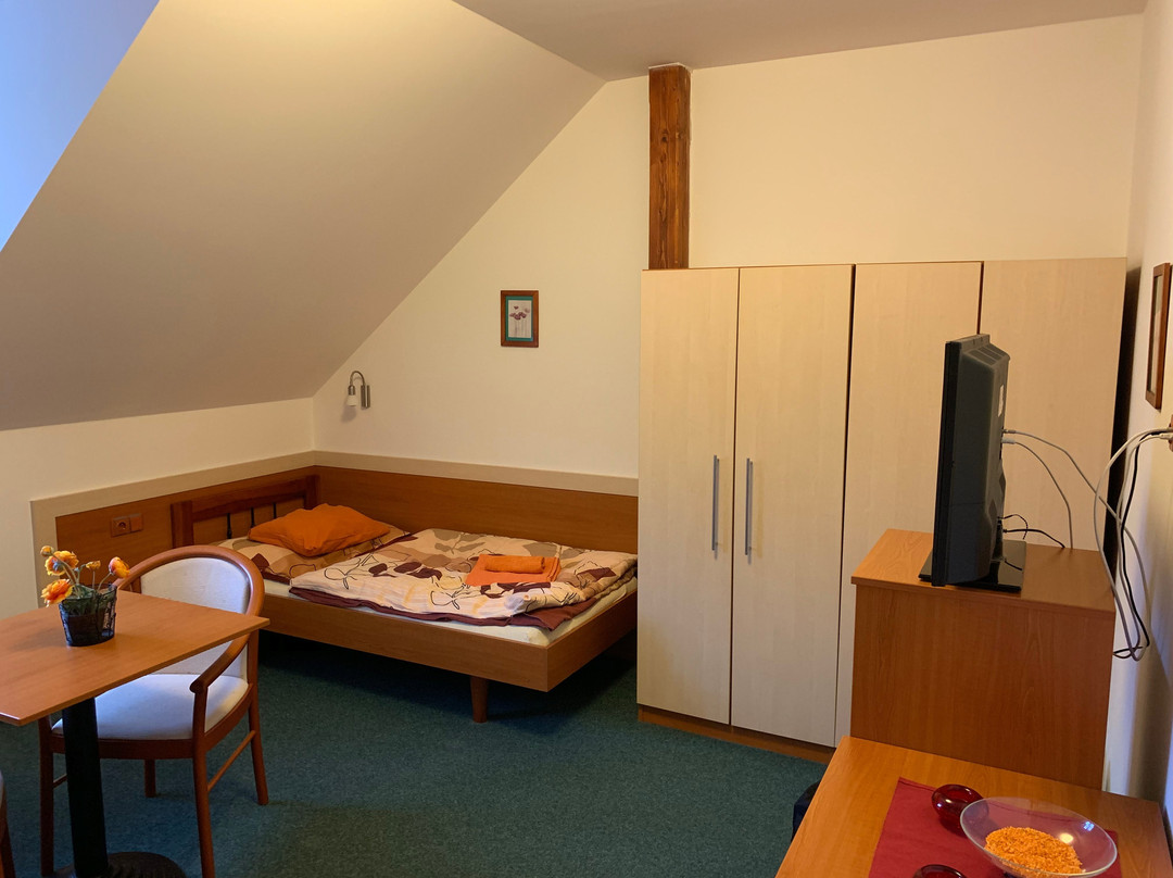 Hotel u Kapra主图