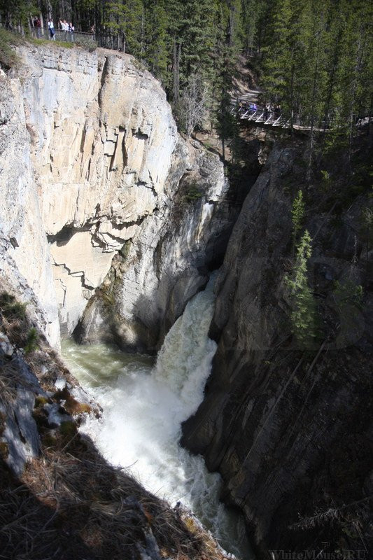 Sunwapta Falls and Canyon景点图片