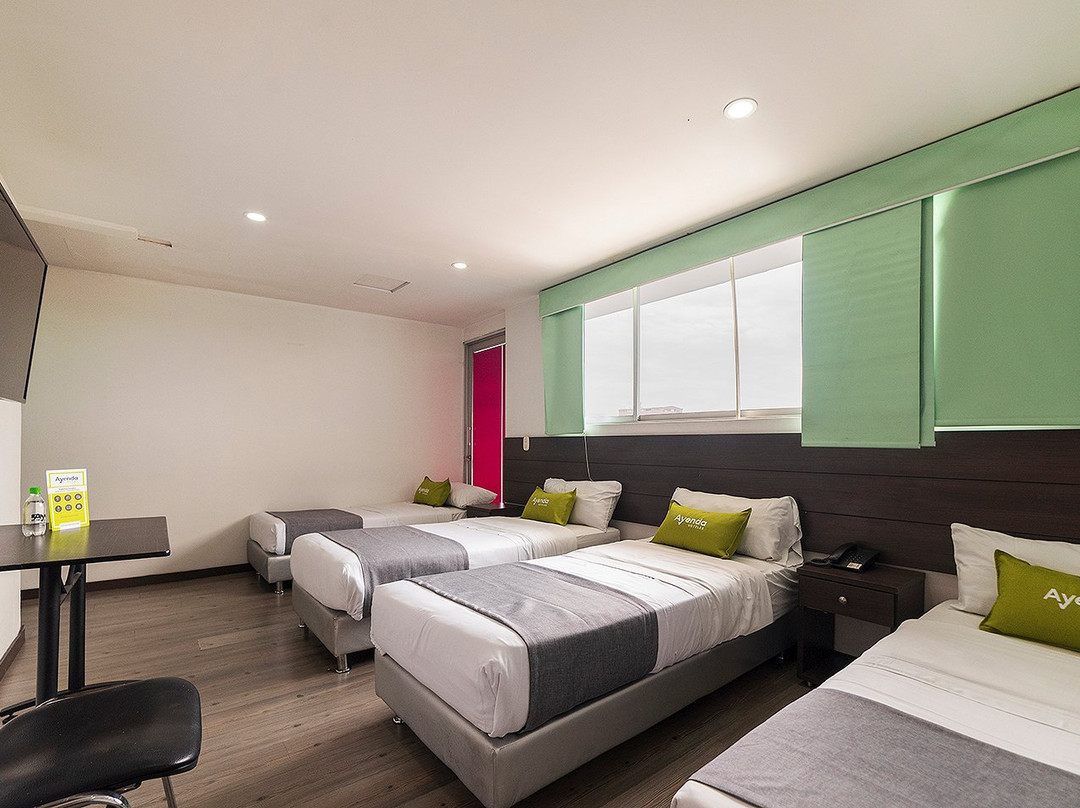 Hotel Ecoferia Boutique主图