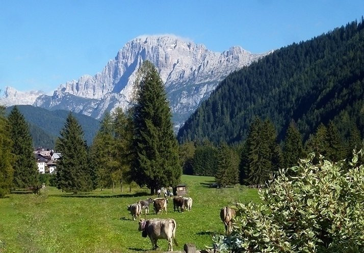 Nordic Walking - Sentiero Tabellato Nordic Walking sulla Piana di Falcade景点图片