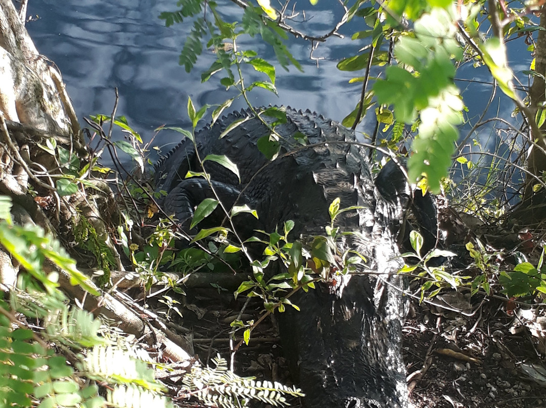 Oasis Visitor Center-奥乔皮必去景点