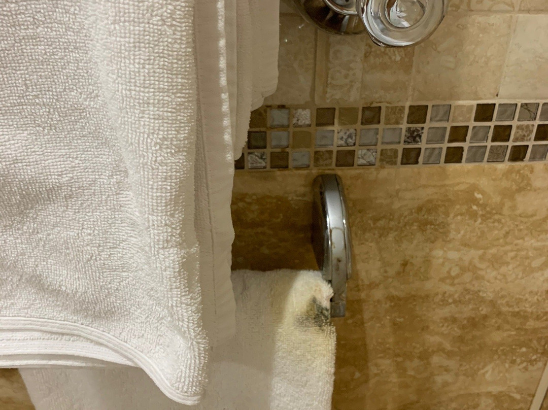 欧罗巴酒店主图