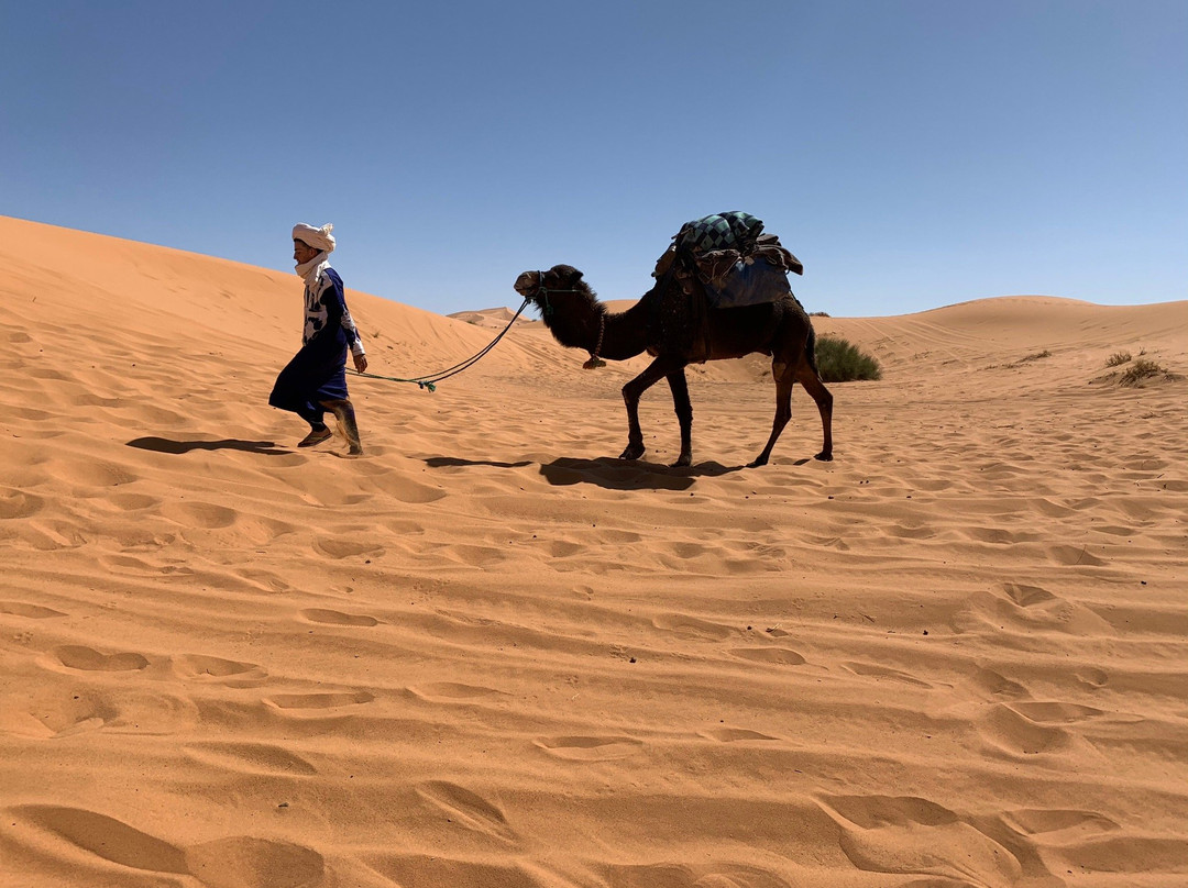 Rutas Viaje Marruecos-非斯必去景点
