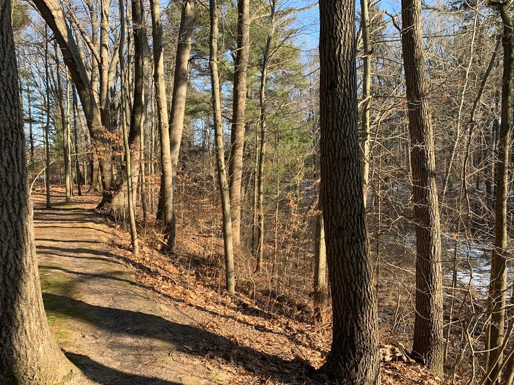 Turtle Creek Preserve-New Buffalo必去景点