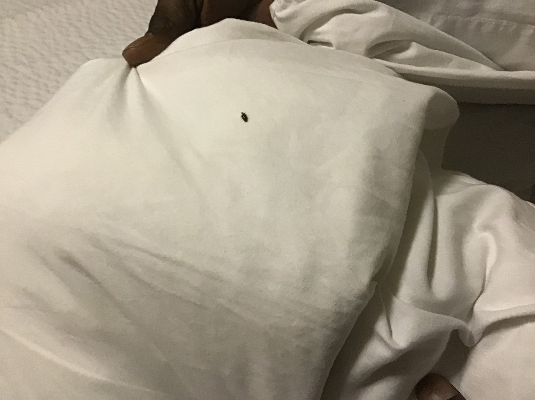 Extended Stay America - Richmond - Innsbrook主图