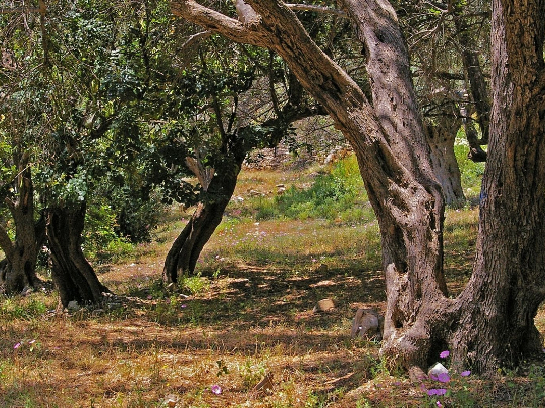 Daphne Hotel Samos主图