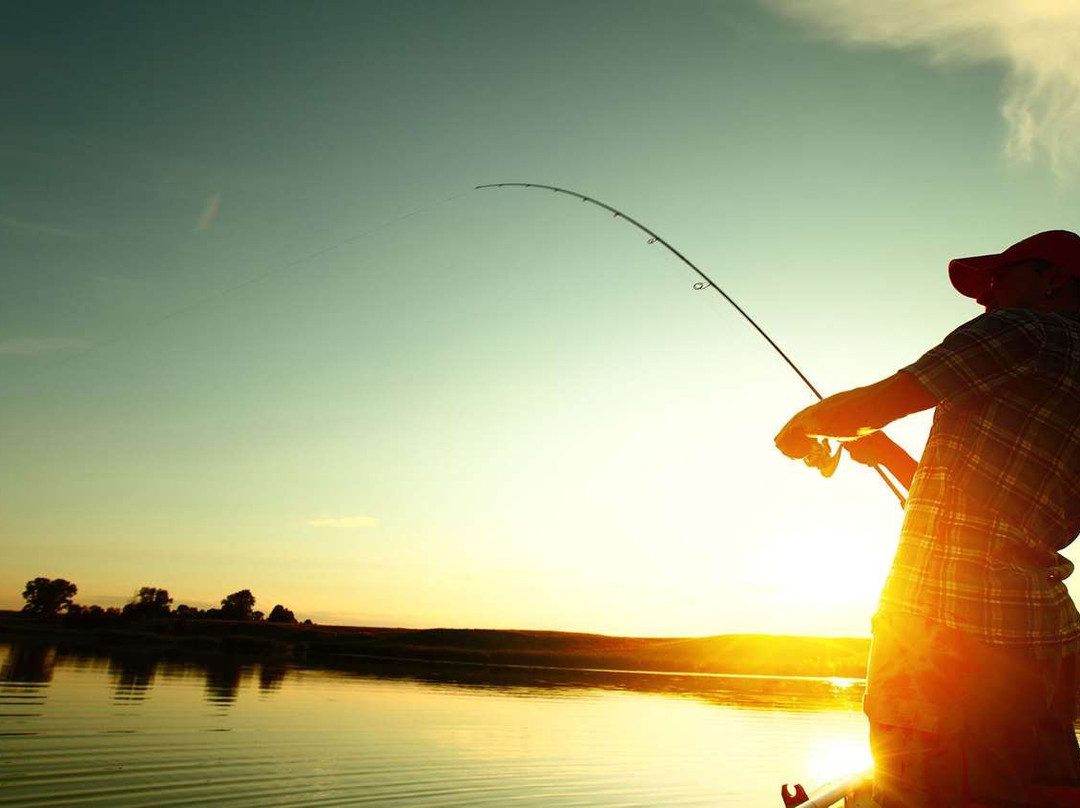 Camino Real Hotel主图