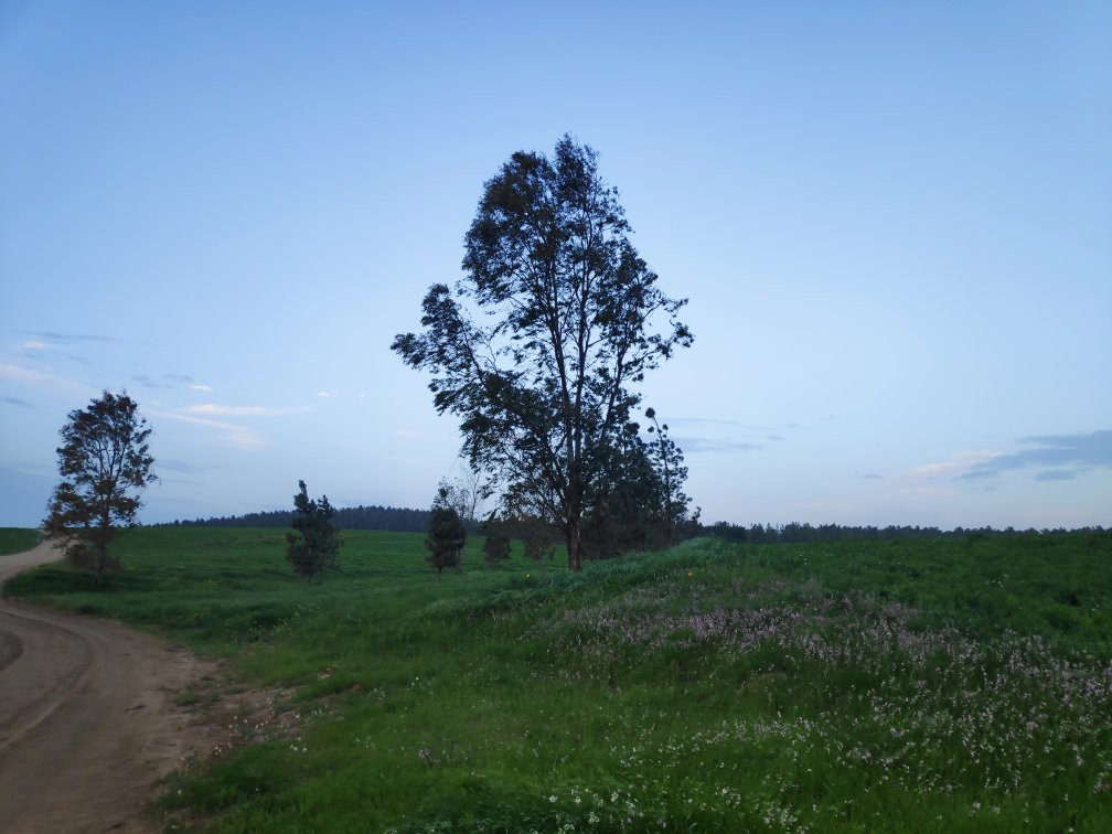 The Museum of Bedouin Culture-贝尔谢巴必去景点