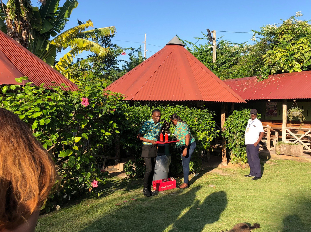 Reddie Transfers And Tours JA-蒙特戈贝必去景点