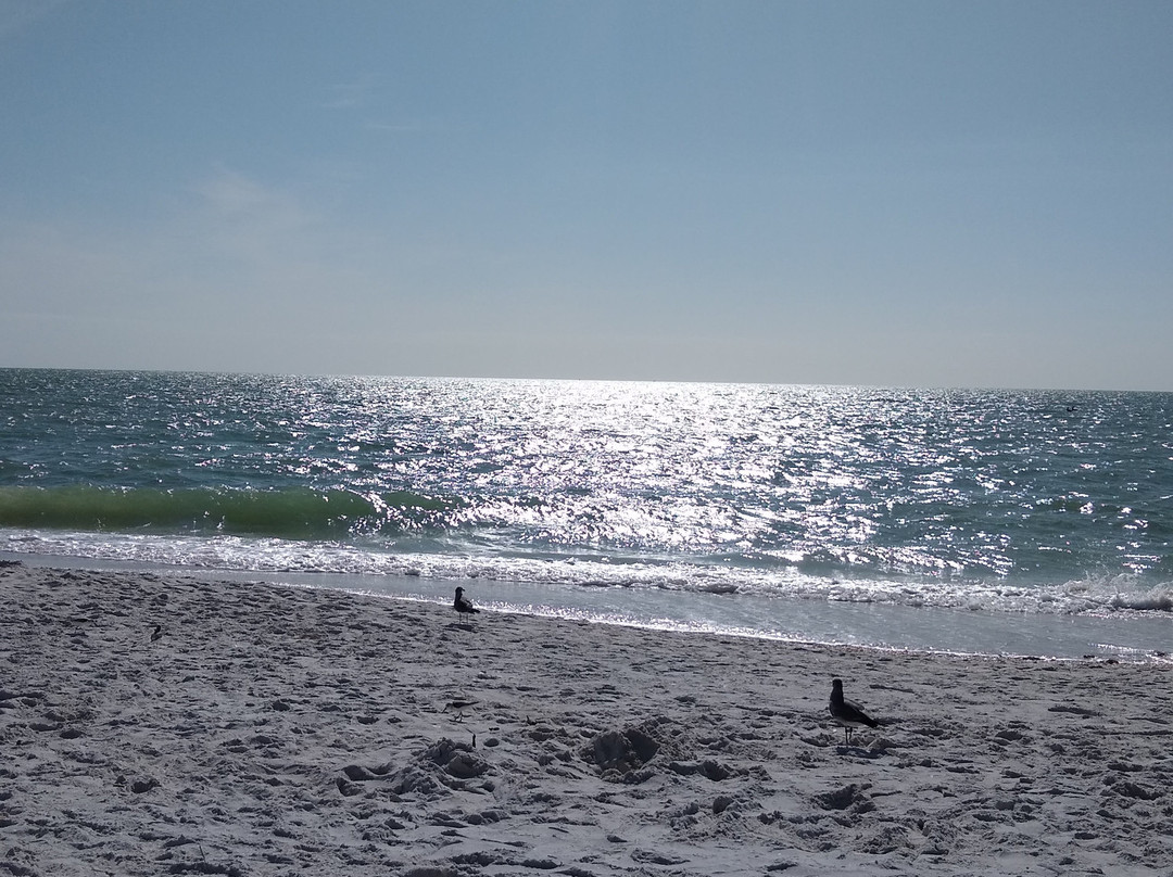 Barefoot Beach Preserve-博尼塔斯普林斯必去景点