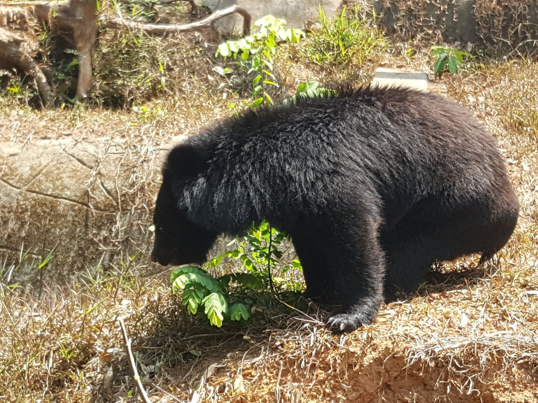 Thiruvananthapuram Zoo景点图片