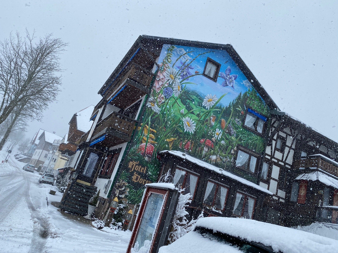 Boutique-Hotel Dorer主图