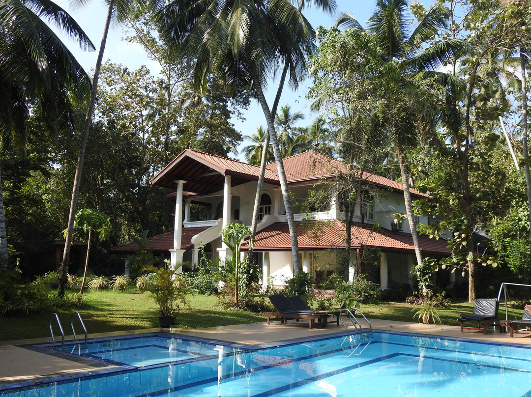 The Villa Green Inn主图