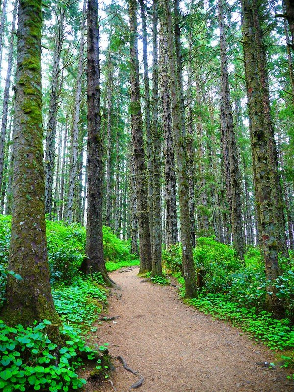 Cape Meares Lighthouse-蒂拉穆克必去景点