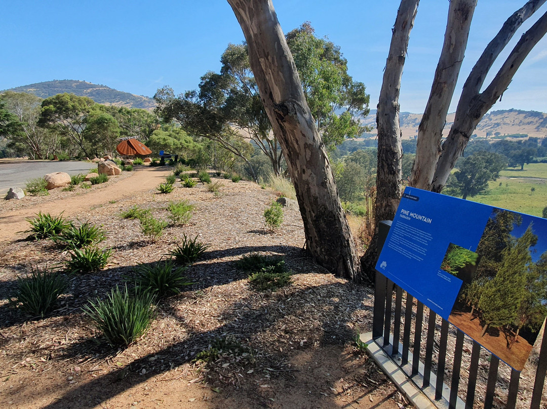 Jim Newman's Lookout-Tintaldra必去景点