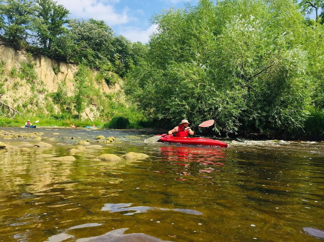 Wild Side Kayak Tours