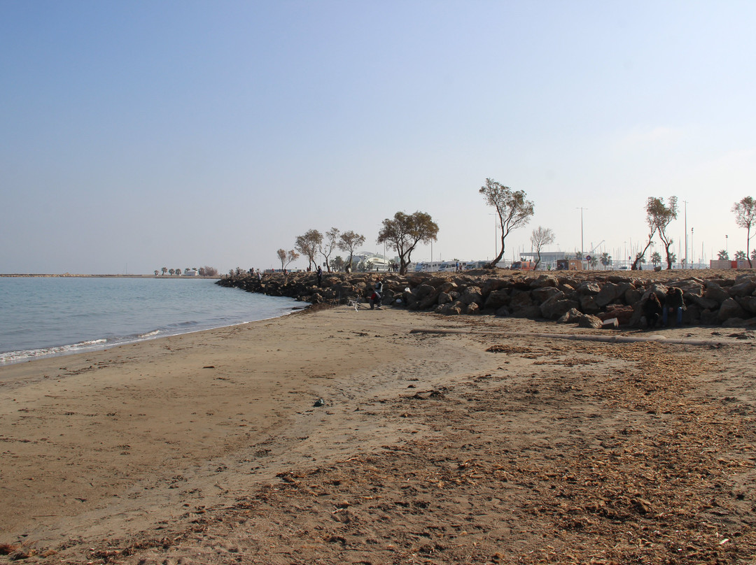 Platja Punta del Raset景点图片