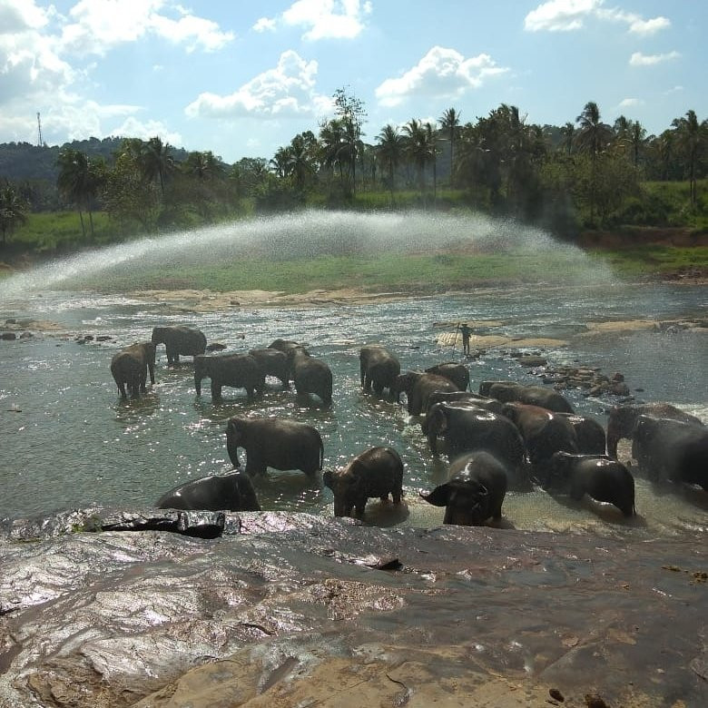 Ferien lanka tour-品纳维拉必去景点
