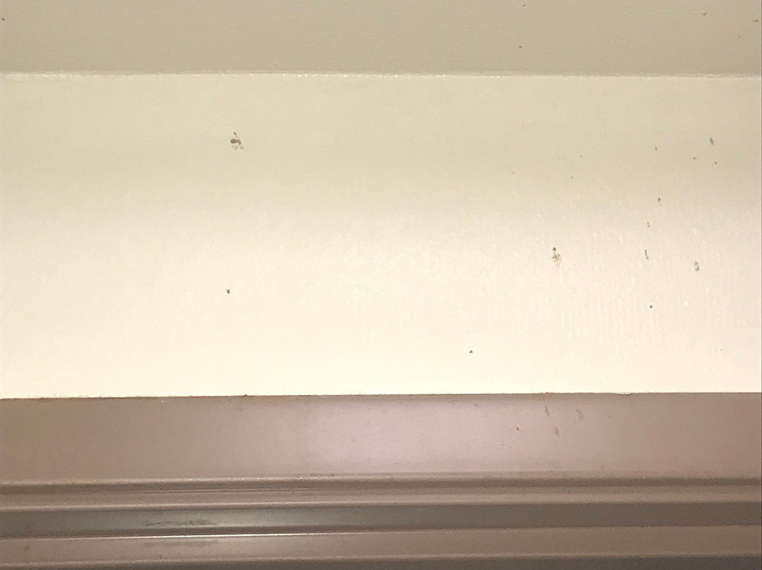 华美达套房旧金山机场酒店主图