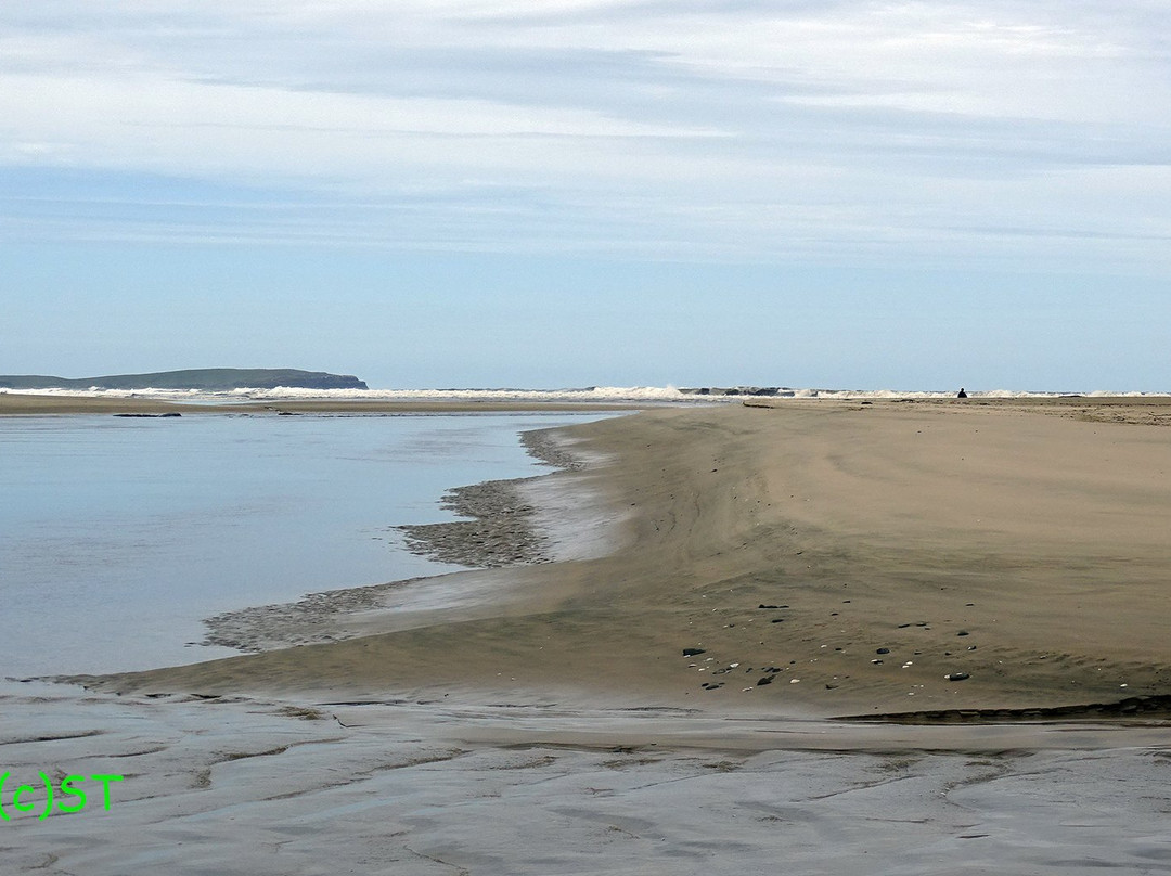 Papatowai Beach景点图片