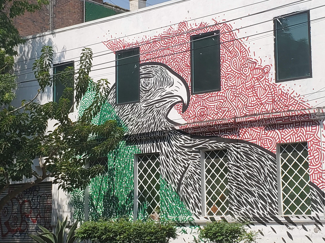 Street Art Roma District-墨西哥城必去景点