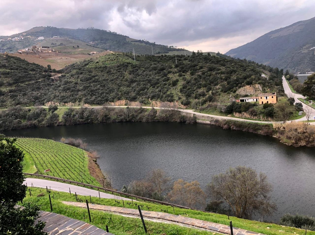 Quinta do Tedo主图