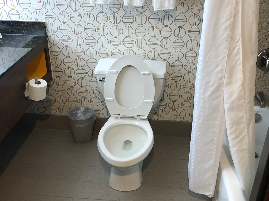 Holiday Inn Toledo-maumee (i-80/90) By IHG主图