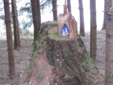 Presepi Nel Bosco-Ziano di Fiemme必去景点