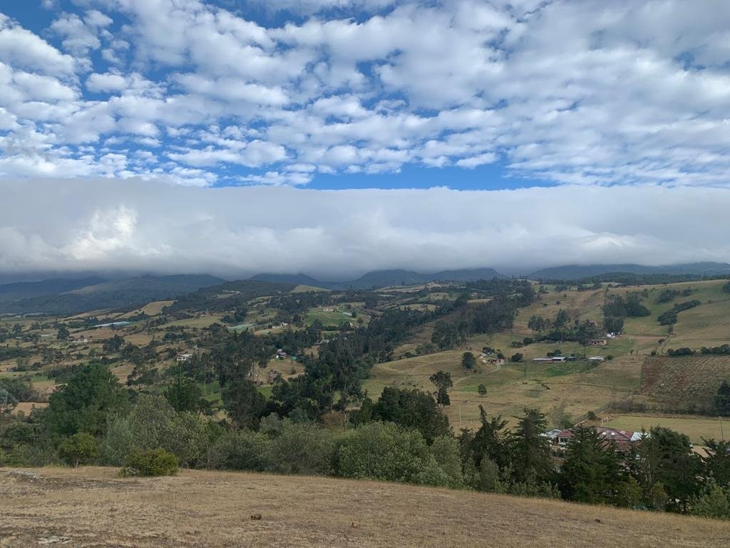 La Rivera Del Ave主图