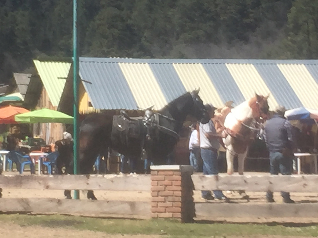 Lagunas de Zempoala National Park-墨西哥州必去景点
